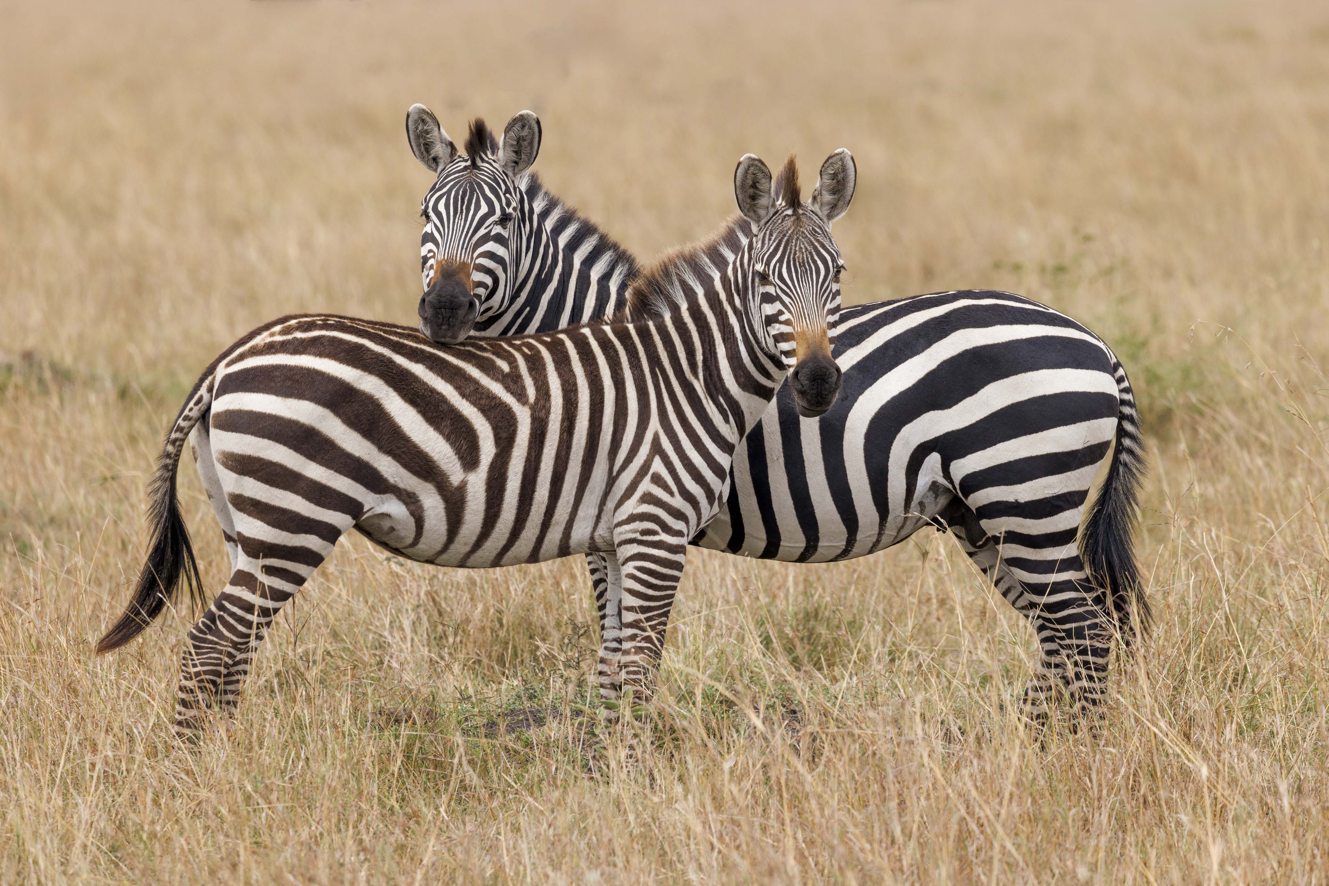 November 11, 2022-133703-Edit-Edit.jpg